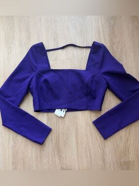 NWT Zara purple crop top